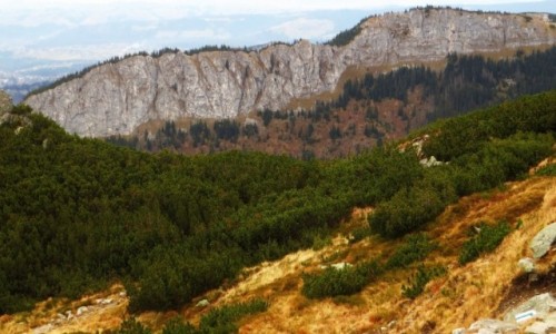 Zdjcie POLSKA / Maopolska / Tatry / w drodze na Kasprowy Wierch