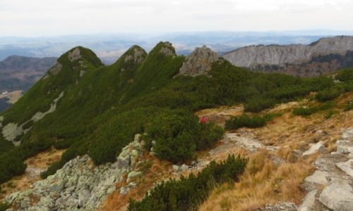 Zdjcie POLSKA / Maopolska / Tatry / w drodze na Kasprowy Wierch