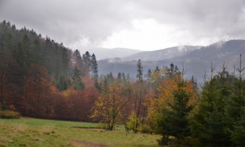 Zdjcie POLSKA / Beskid ywiecki / Przysop / Beskidzka jesie