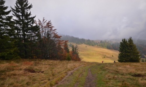 Zdjcie POLSKA / Beskid ywiecki / Rycerzowa / Beskidzka jesie