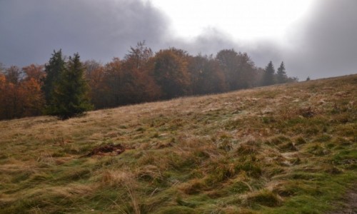 Zdjcie POLSKA / Beskid ywiecki / Rycerzowa / Beskidzka jesie