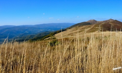 Zdjecie POLSKA / - / Poonina Wetliska, Bieszczady / Poonina Wetliska