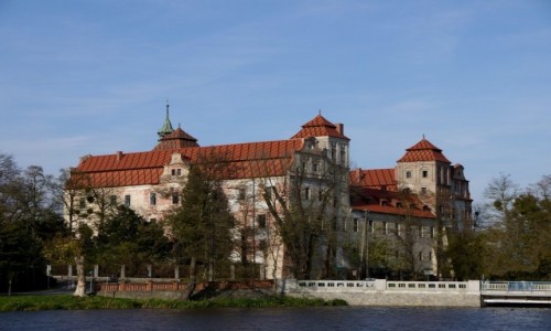 Zdjcie POLSKA / opolskie / Niemodlin / Zamek