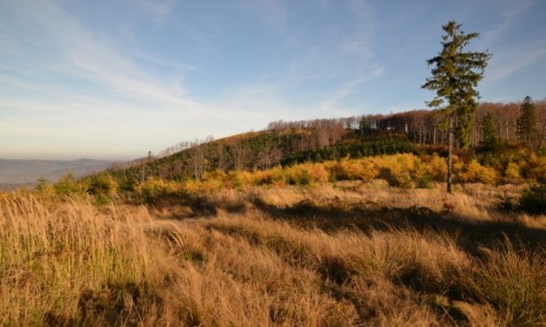 Zdjecie POLSKA / Beskid May / Czupel / Beskidzka jesie