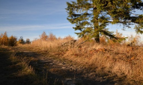 Zdjcie POLSKA / Beskid May / Czupel / Beskidzka jesie