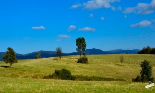 Zdjęcie POLSKA / Podkarpacie / okolice Wetliny / W drodze do Wetliny