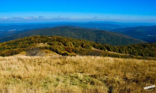 Zdjecie POLSKA / Podkarpacie / Poonina Wetliska, Bieszczady / Widok z Pooniny Wetliskiej