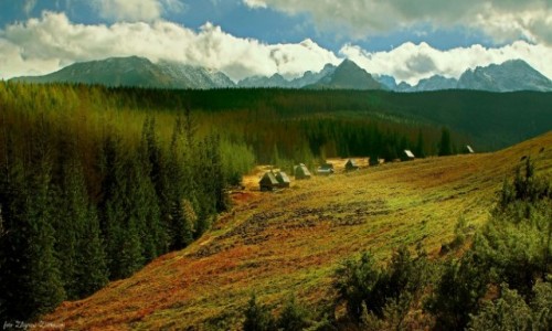 Zdjcie POLSKA / Zakopane /  Wielki Kopieniec / Budynki pasterskie