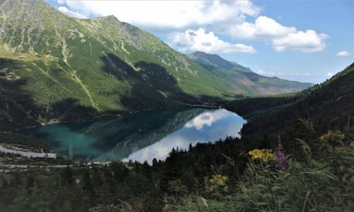 Zdjęcie POLSKA / Tatry / Czarny Staw pod Rysami / Wspomnienie lata