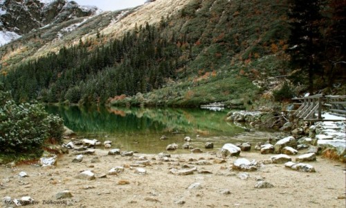 Zdjcie POLSKA / Zakopane / Morskie Oko /  Dolina Rybiego Potoku -2