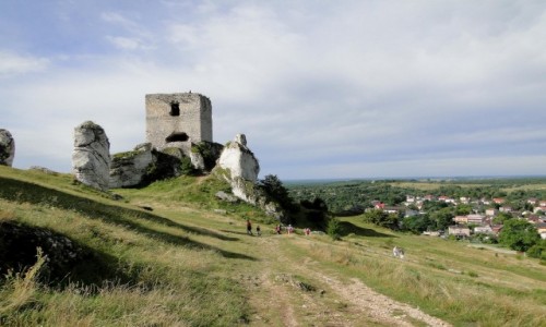 Zdjecie POLSKA / Jura Krakowsko-Czstochowska / Olsztyn / Na szlaku Orlich Gniazd