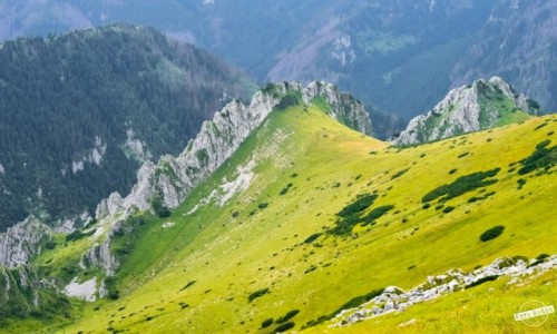 Zdjecie POLSKA / - / Tatry / W Drodze na Ciemniaka