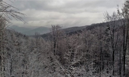 Zdjcie POLSKA / Beskid lski / Szyndzielnia / pierwszy nieg