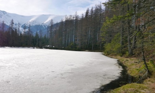 Zdjecie POLSKA / Karpaty / Tatry / Smreczyski staw zim