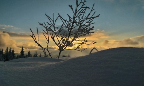 Zdjecie POLSKA / beskid ywiecki / jaowiec / zachd w bieli...