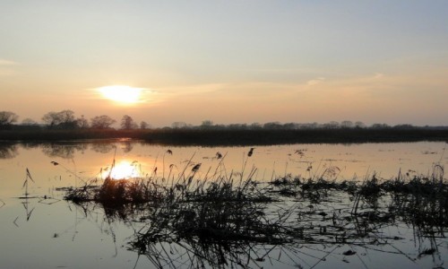 Zdjecie POLSKA / Podlasie / Waniewo / Wieczr nad Narwi.