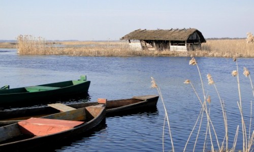 Zdjcie POLSKA / Podlasie / Waniewo / Podlaskie klimaty.