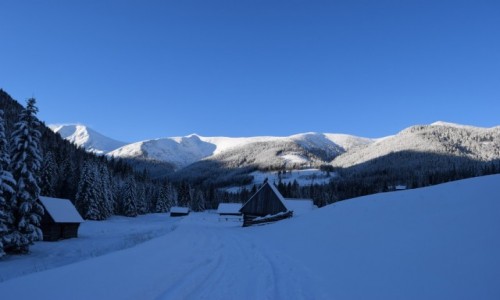 Zdjecie POLSKA / Tatry Zachodnie / Dolina Chochoowska / Tatry