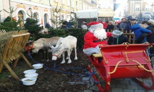 Zdjcie POLSKA / Opole / Opole - Rynek / Jarmark boonarodzeniowy w Opolu