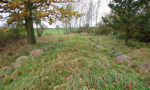 Zdjcie POLSKA / zachodniopomorskie / Dolice / groby megalityczne sprzed 5000 lat,  Krpcewo