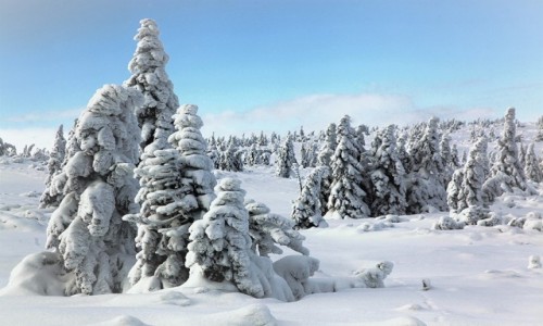 Zdjecie POLSKA / Karkonosze / Maa Kopa  / Pod koderk