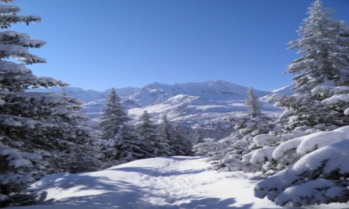 Zdjecie POLSKA / Hala gsienicowa / Hala gsienicowa / Tatry bez photshopa