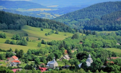 Zdjcie POLSKA / Dolny lsk / Leszczyniec / wczesnym latem...