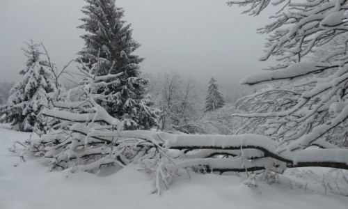 Zdjęcie POLSKA / beskid mały / na szlaku... / biało....