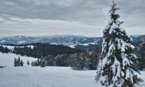 Zdjcie POLSKA / beskidy / hala rycerzowa  / w oddali Pilsko i Babia
