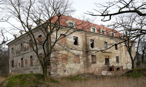 Zdjęcie POLSKA / opolskie / Osiek Grodkowski / Pałac w odbudowie