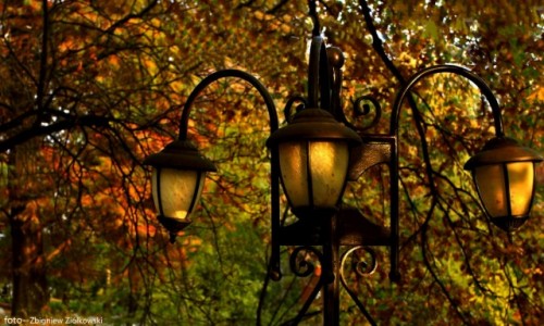 Zdj�cie POLSKA / Bydgoszcz / Bydgoski Park / Latarnia