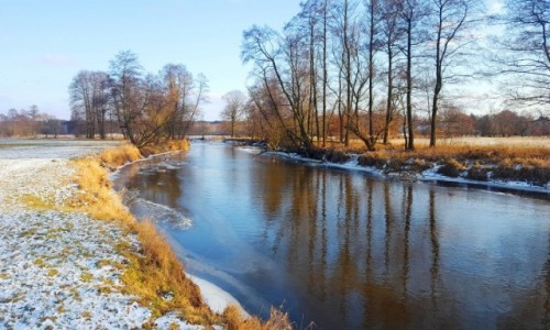 Zdjecie POLSKA / mazowieckie / Wola Sufczyska / Krty wider