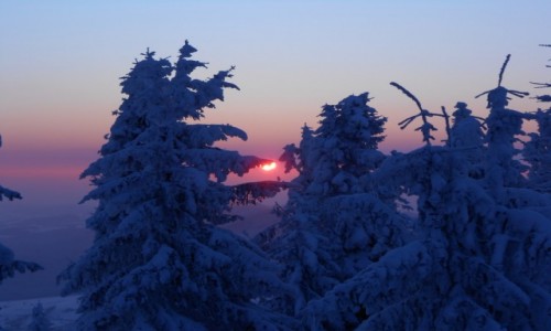 Zdjcie POLSKA / beskid wyspowy / mogielica / mrony wschd