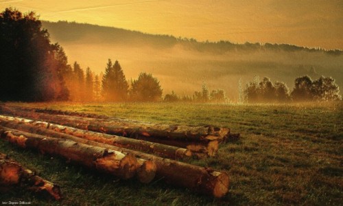 Zdjcie POLSKA / Beskidu lskiego, / Wisa / Poranek w Beskidach