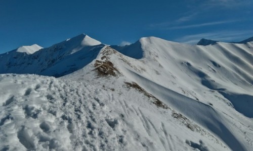 Zdjęcie POLSKA / tatry zachodnie / na szlaku... / w drodze na Starorobociański szczyt