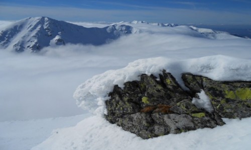 Zdjęcie POLSKA / tatry zachodnie / na szlaku... / gdzieś po drodze...