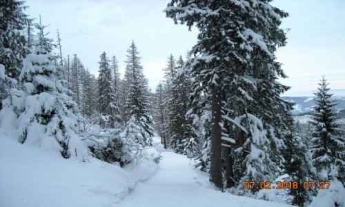 Zdjecie POLSKA / - / Droga z Murowaca do Kunic / Tatry