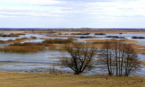 Zdjcie POLSKA / Podlasie / Burzyn / Podlaskie przedwionie.
