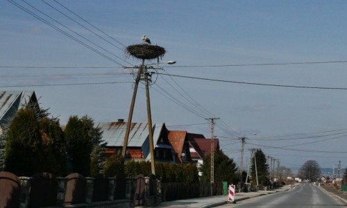 Zdjcie POLSKA / Maopolska / Podczerwone / Jest pierwszy