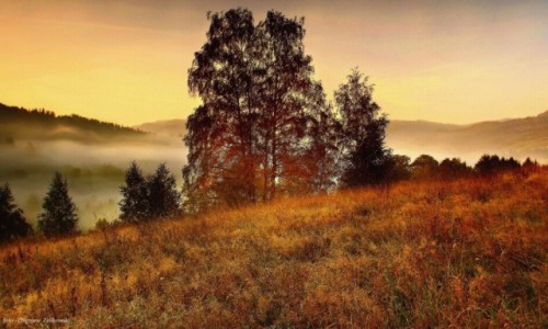 Zdjcie POLSKA / Beskid lski / Wisa / Poranek w Beskidach-malarsko