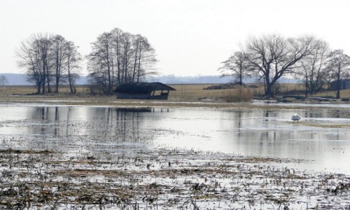 Zdjecie POLSKA / Podlasie / Waniewo / Podlaskie przedwionie.