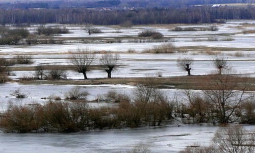 Zdjecie POLSKA / Podlasie / Strkowa Gra. / Podlaskie przedwionie.