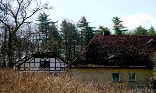 Zdjcie POLSKA / opolskie / Lipno / Leniczwka na skraju lasu