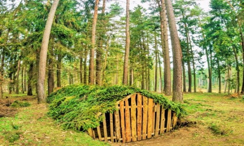 Zdjcie POLSKA / Pomorze / Kokoszki / chatka hobbita ?