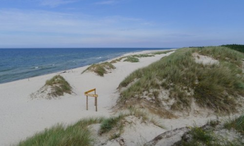Zdjęcie POLSKA / Województwo Pomorskie / Słowiński Park Narodowy / Czysto, pusto i pięknie