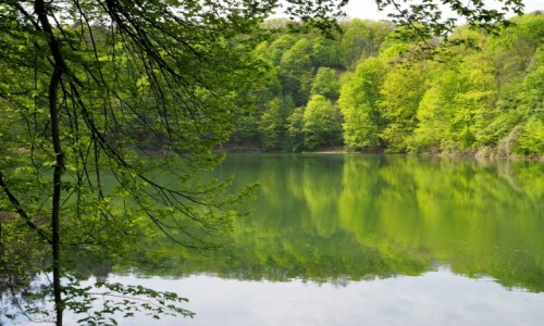 Zdjecie POLSKA / Zachodniopomorskie / Jezioro Szmaragdowe, Szczecin-Zdroje / w wiosennych barwach...