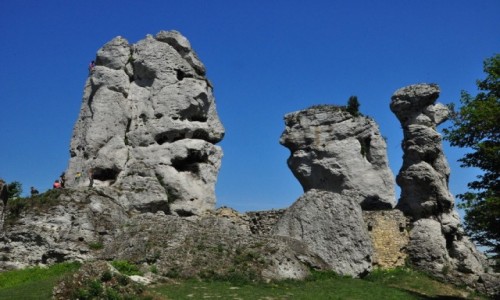 Zdjecie POLSKA / Maopolska / Podzamcze / Ogrodzieniec