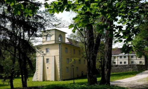 Zdjcie POLSKA / dolnolaskie / Trzebieszowice / Zamek od strony parku