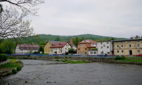 Zdjcie POLSKA / Dolnolskie / Ldek Zdrj / Przy gronej rzece
