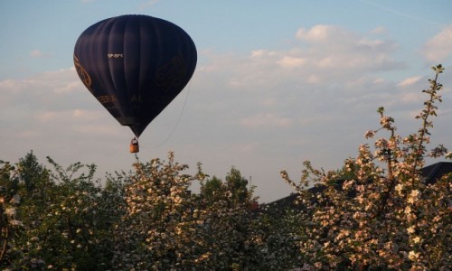 Zdjęcie POLSKA / mazowieckie / Serock / Lot nad sadami